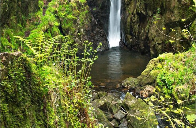 Beautiful Cottage, Spectacular Views - wifi, TV with Netflix, enclosed garden