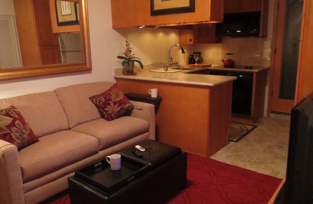 Beautiful Efficiency: full size kitchen, pet & 420 friendly, walk to everything