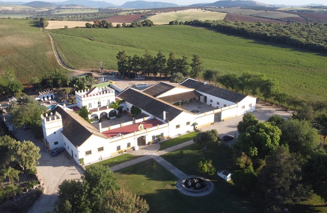 Beautiful Andalusian farmhouse in Arcos de la Frontera