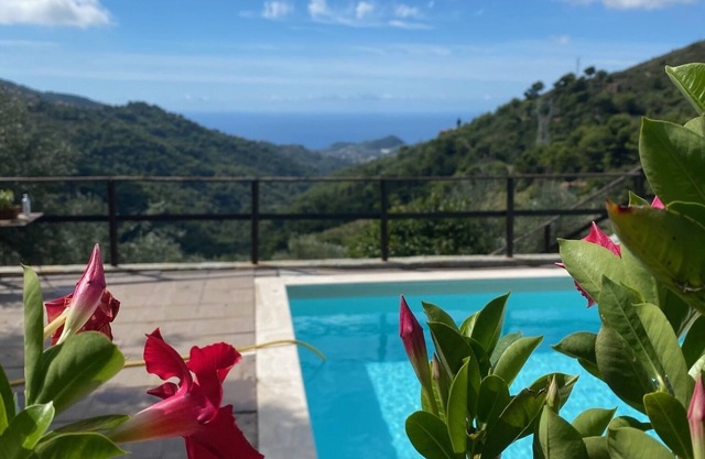 Beautiful farm house with pool, open spaces and amazing sea views