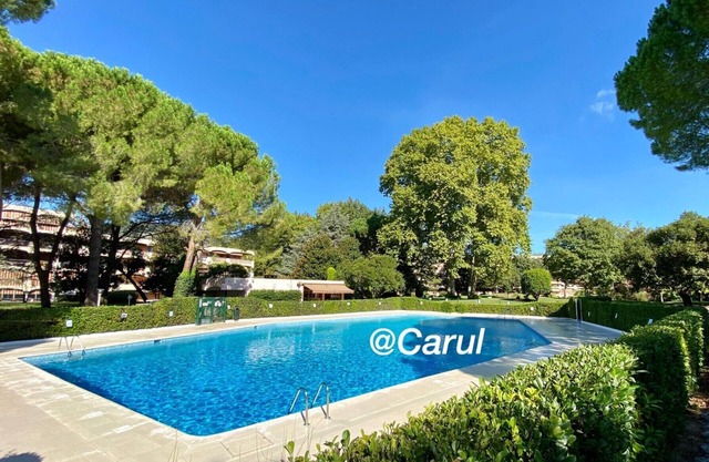 Beautiful 2-room apartment pool view park near sea Cannes
