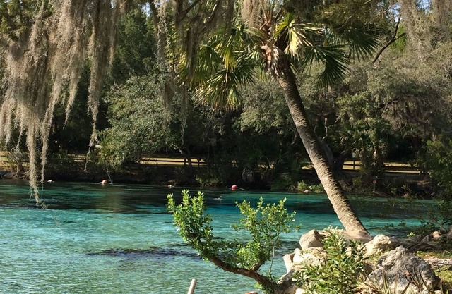 Beautiful Get-away - Ocala National Forest @ Salt Springs Resort- Loaner kayaks!