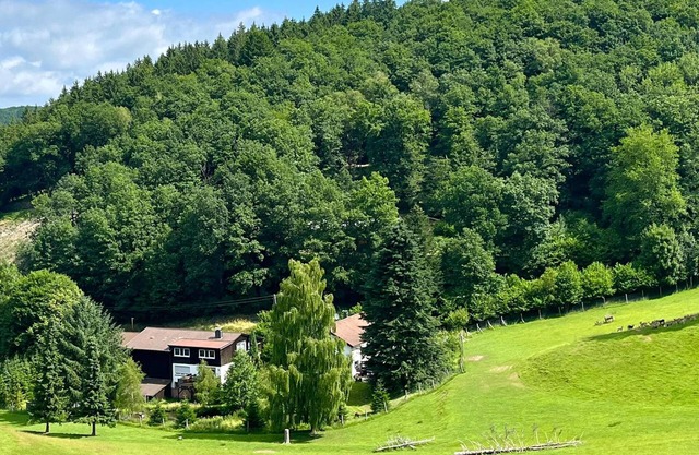 Beautiful holiday apartment in the Sauerland