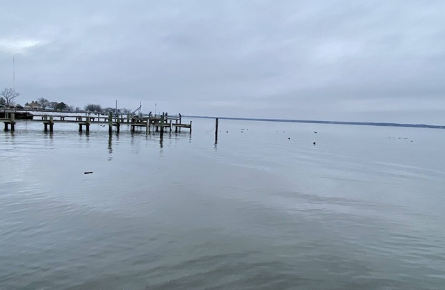 Beautiful Home in Historic Waterfront District, Walk to Downtown!