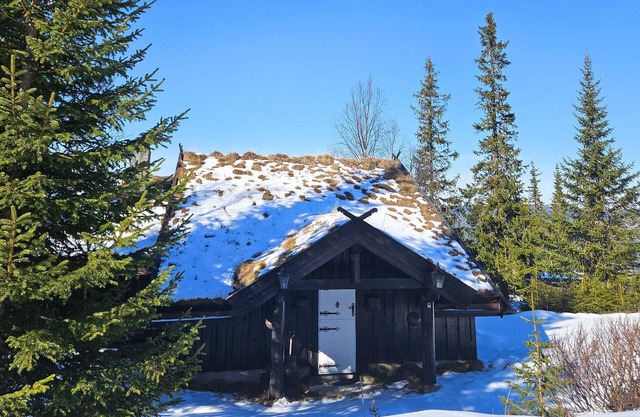 Beautiful home in Nesbyen with sauna