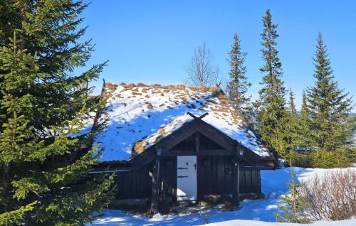 Beautiful Home In Nesbyen With Sauna