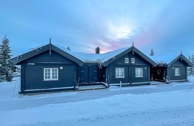 Beautiful home in Sjusjøen with WiFi