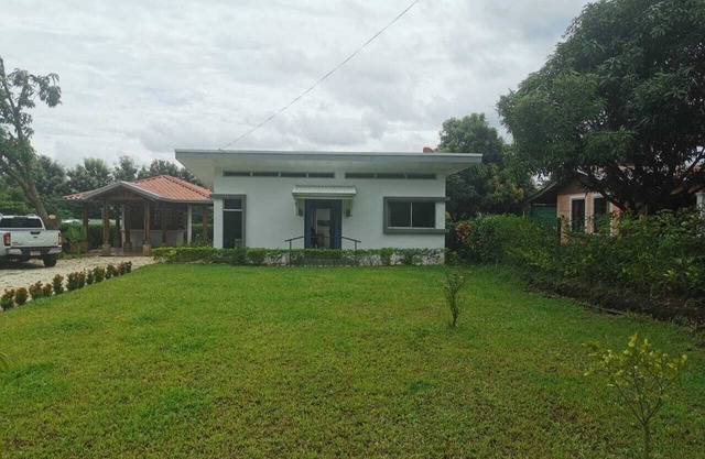 Beautiful house 50 minutes to the beach and airport. Blue zone