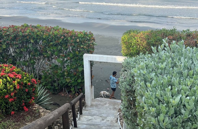 Beautiful house facing the sea