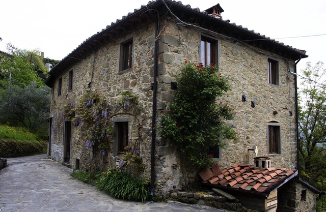 Beautiful House in the hills near Lucca - Pet Friendly -