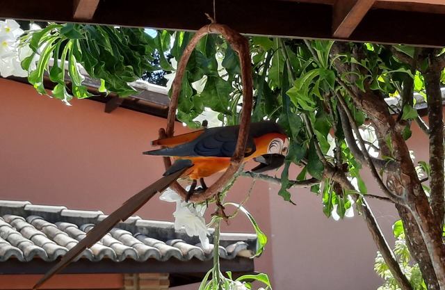Beautiful house in Porto Seguro, 100 meters from Taperapuan beach.