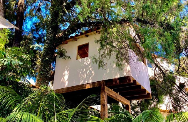 Beautiful house with private pool and gorgeous gardens. Pet Friendly!
