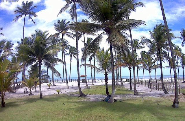 Beautiful house with pool by the sea for up to 8 people in Ilhéus-BA.