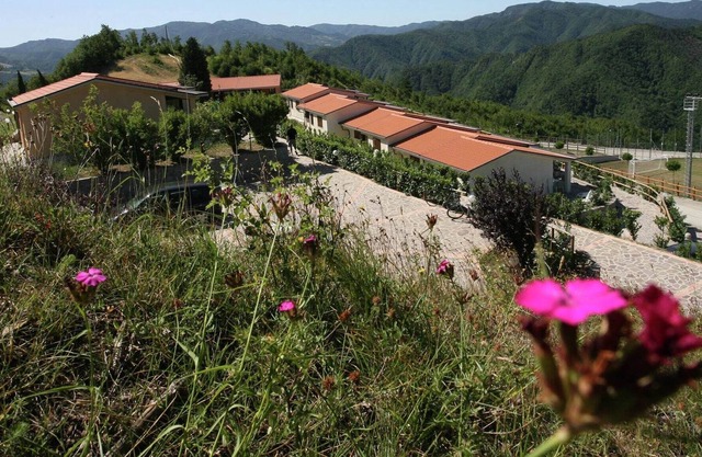 Beautiful home with terrace, located in nature