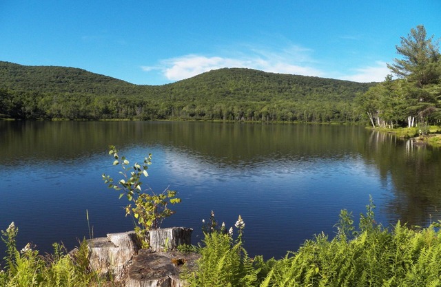 Beautiful Lake house on private 28 acre lake