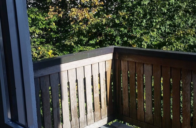 Beautiful, large, sunny 1.5 room studio (50 sqm); family-friendly