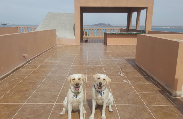 Beautiful Ocean Views and Spacious Patios. Enclosed Vehicle Parking .