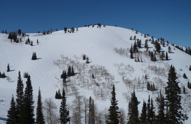 Beautiful Powder Ridge Resort (Ski In /Ski Out) Best Value In Utah!