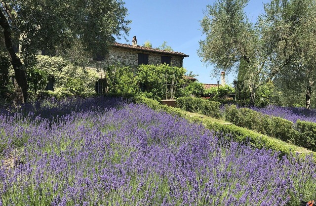 Beautiful private villa with private pool, WIFI, TV, patio, panoramic view, parking, close to Lucca