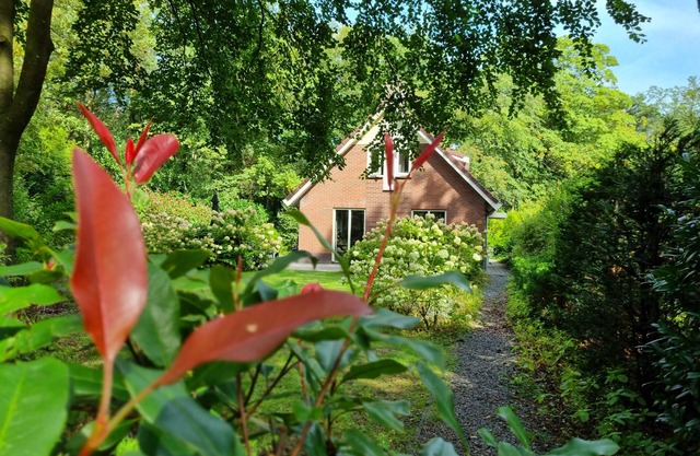 Beautiful quiet family bungalow on the Veluwe