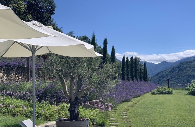 BEAUTIFUL! Restored Farmhouse with infinity pool