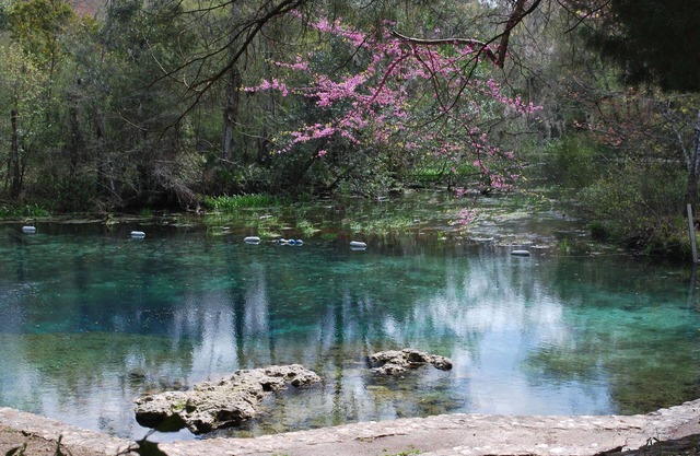 Beautiful river-front cabin overlooking the Upper Suwanee River
