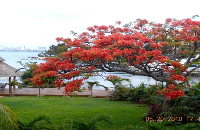 Beautiful, spacious Lagoon house with on-site Wellness Boutique and pool