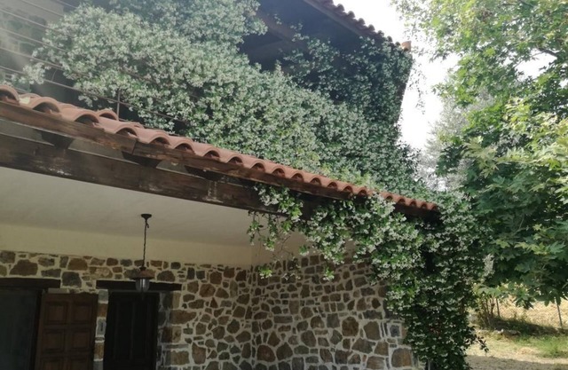 Beautiful stone house in Politika