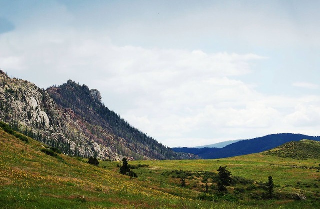 Beautiful Suite in the Colorado Mountains w/Full Gourmet Breakfast