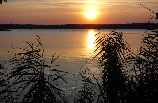 Beautiful vacation accommodation near Lake Tegel