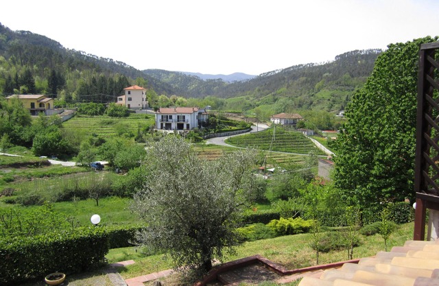 BEAUTIFUL VILLA IMMERSED IN THE GREEN TWO STEPS FROM THE CINQUE TERRE