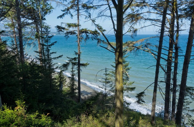 Beautiful Water Views & Private Beach Trail Between Sequim & PA