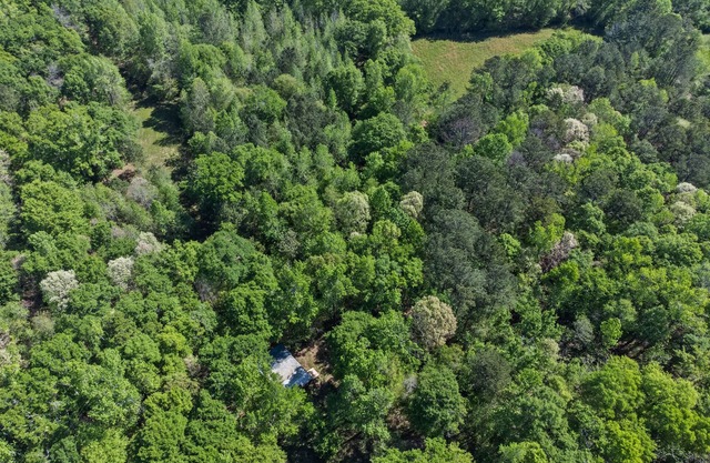 Beaverdam Bliss Cabin on 14 acres