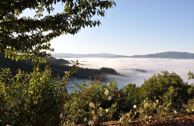 Bed & Breakfast in Gattaia with 1 bedrooms sleeps 4