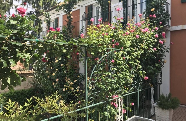 Bed & Roses "Meni"