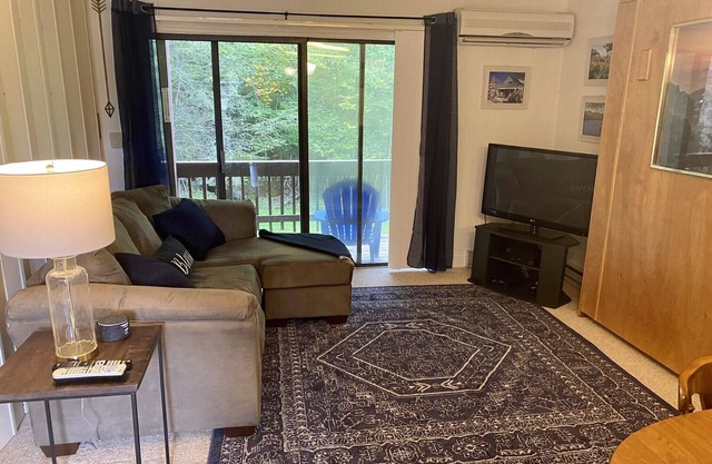 Beech Mountain Condo Sleeps 5; Go to Ski Beech