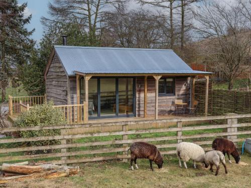 Beech Tree Cabin