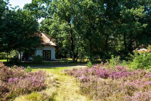 Beekje - Rolstoelvriendelijk en comfortabel 8p