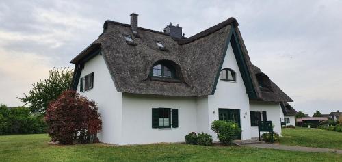 Bei-Schroeter-s