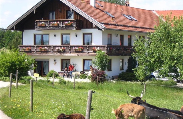 Beim Rieder