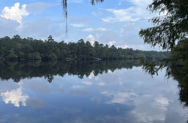 Bell, Fl 3/2 home on Suwannee w/boat ramp