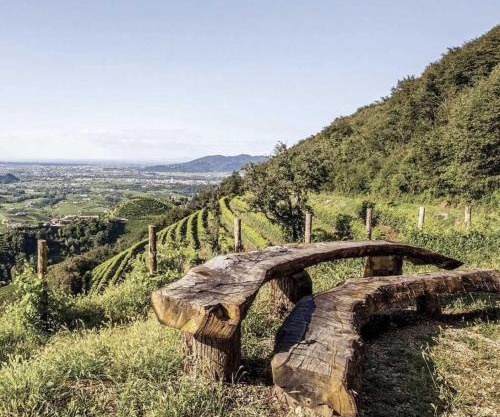 Bellavista