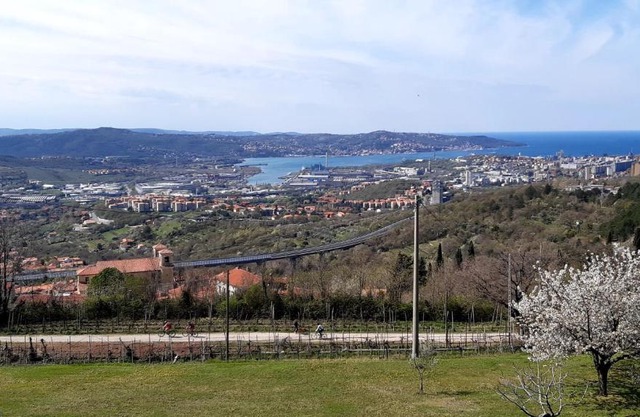 Bellavista Trieste