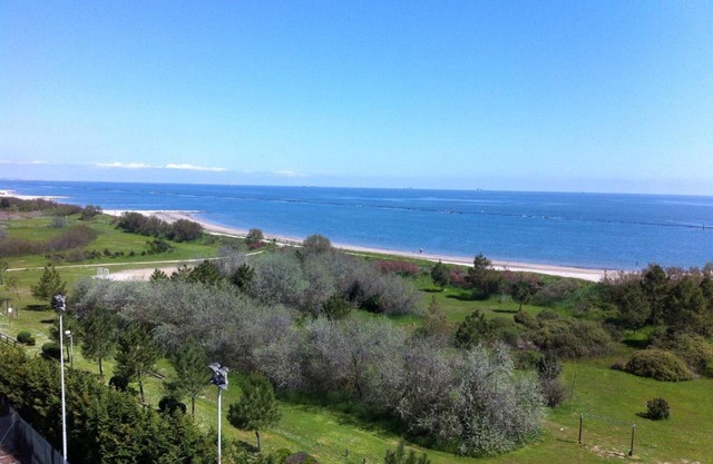 Belvedere