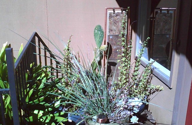 Bennett Valley home is a great location to explore Sonoma Valley.