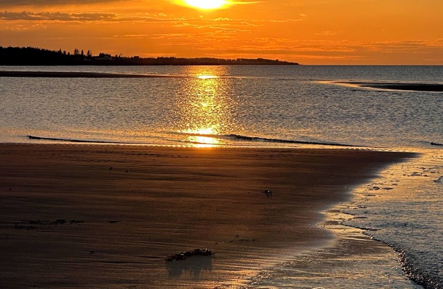 Bent Brook Beach House - Private, pet friendly, beach access, central location