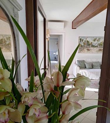 Berto's house tra mare e laguna