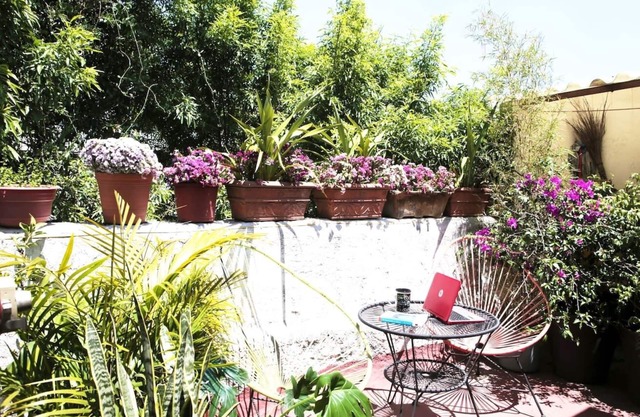 Best location Roma Norte next2 Condesa, Reforma, Down town