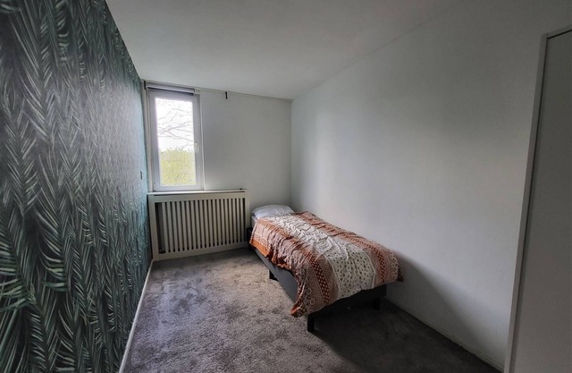 Best offer in Lelystad