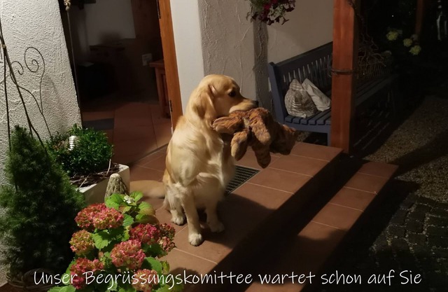 Best time vacation apartment Bösl, 70 m², up to 4 persons, 2 separate bedrooms